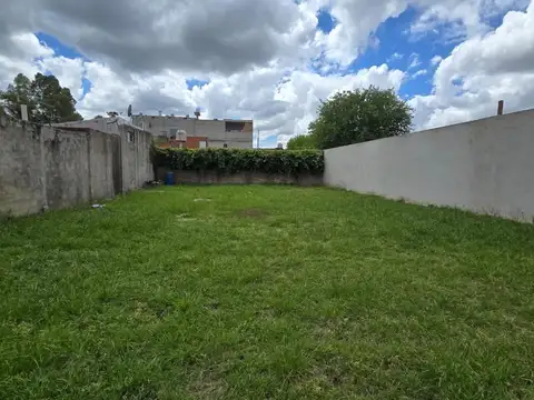 Vilela 2000