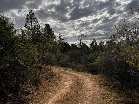 VENTA CAMPO CON VERTIENTE PROPIA  CERCANO CERRO PELADO CALAMUCHITA 125 HA
