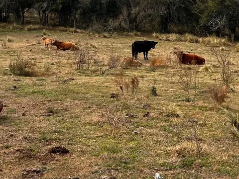 Ruta Provincial 5 100