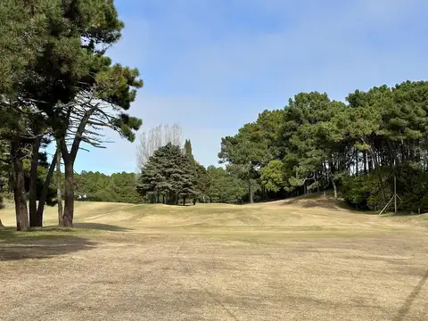 Terreno en Alamos