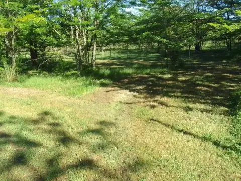 SDA. Lote de  terreno, Ruta 6 km 169, Etchegoyen, Exaltacion de la Cruz