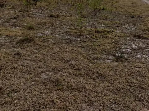 Ruta 77