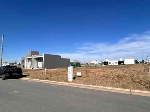 Avenida Renault