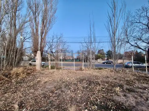 Lote Comercial de 380 m² – Av. Vélez Sarsfield, San Rafael, Mendoza