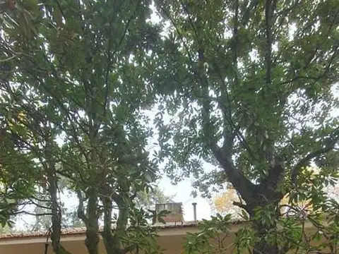 Venta de casa en la isla - Histórica - Diseño Gaudí