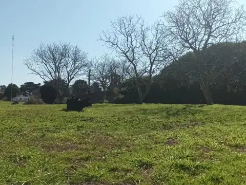 Terreno en Venta de 2770,0 m2