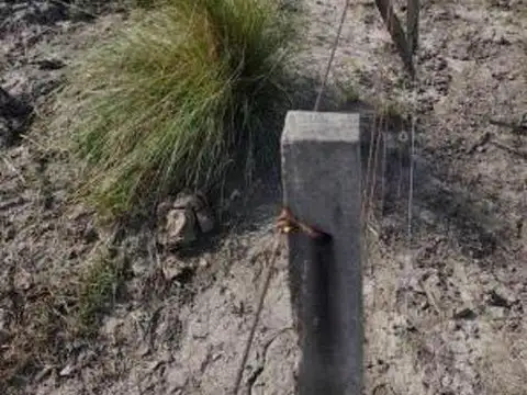 Campo ganadero 2200 hectareas en logroño