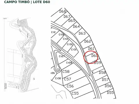 Lote D60