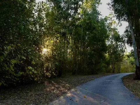 Terreno en Venta de 609,0 m2