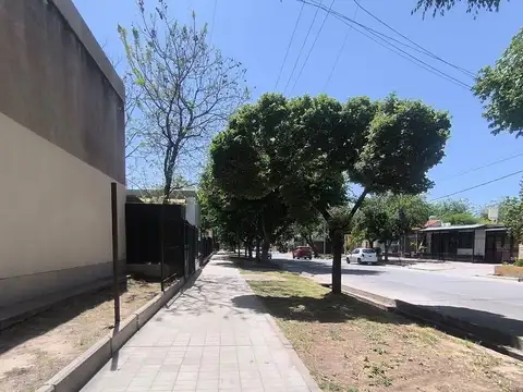 Jacinto Suárez 1300