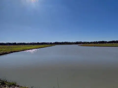 Terreno en Venta de 712,0 m2
