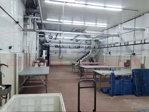 PLANTA FRIGORÍFICA CICLO 2 DE 1560 M² EN MATADEROS