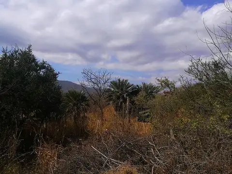 Calle Parana, Aguas Azules