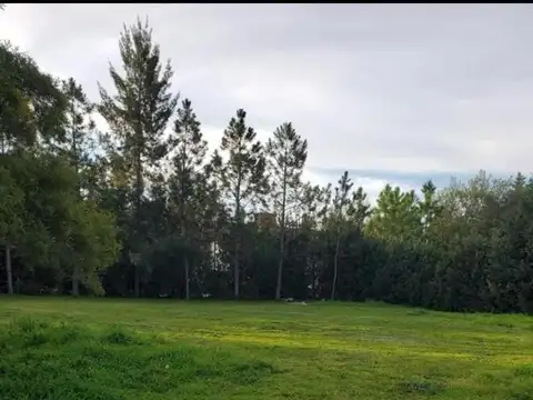 Terreno en Venta 39  mts Frente