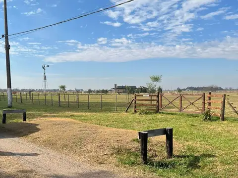 Ruta Provincial 215 100