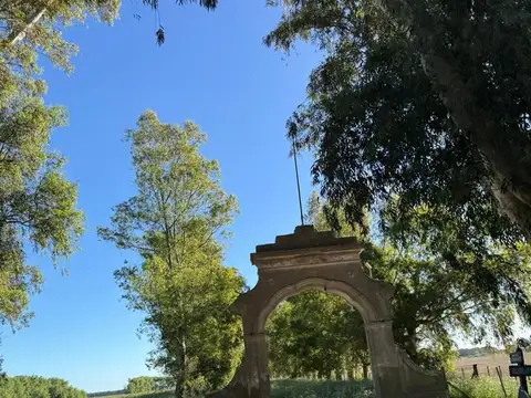 Terreno en Venta de 14443,0 m2