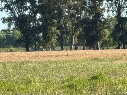 Terreno en Venta en San Miguel Del Monte, USD 50.000