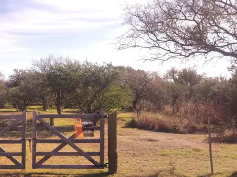 Terreno en Venta en Cortaderas, Chacabuco