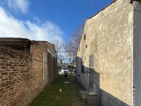El Pericon 100