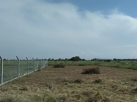 Alta Gracia, Los Olivares