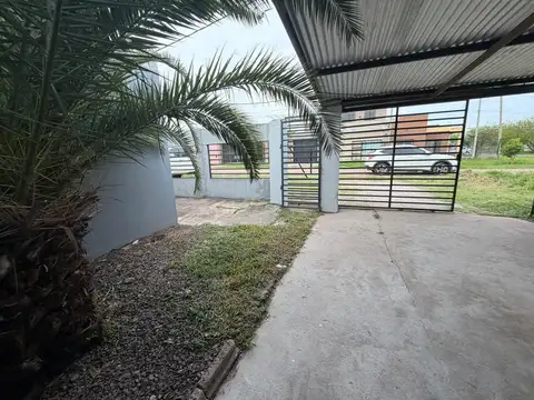 Ciervo de los Pantanos al 3015