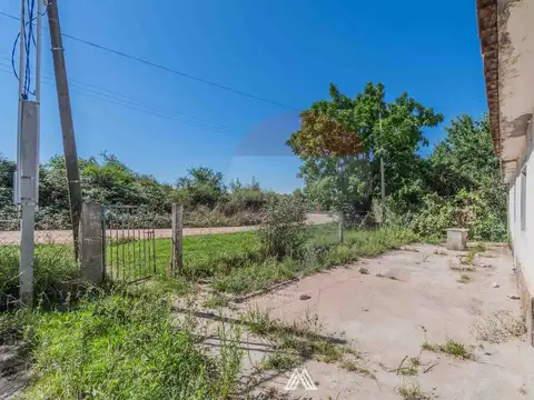 La Ilíada M. 209 S. 100