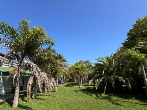 Casa - Los Talas