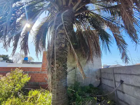 Terreno en Venta de 325,0 m2