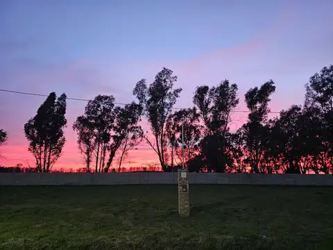 Rivera 800