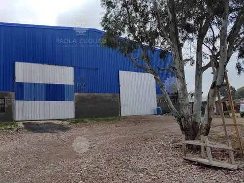 Cacique Telomian Condie 1500