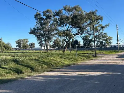 Terreno en Venta de 4624,0 m2