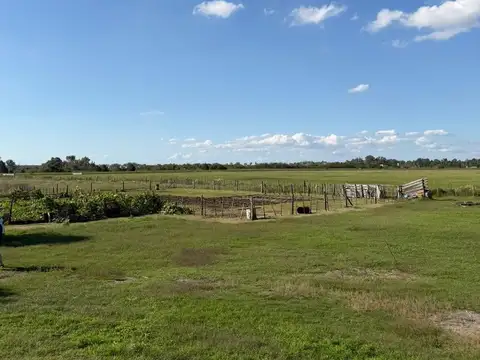 Venta Campo en Piñero