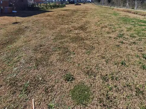 Terreno en Venta en Pilar Del Este - Santa Elisa, USD 24.000