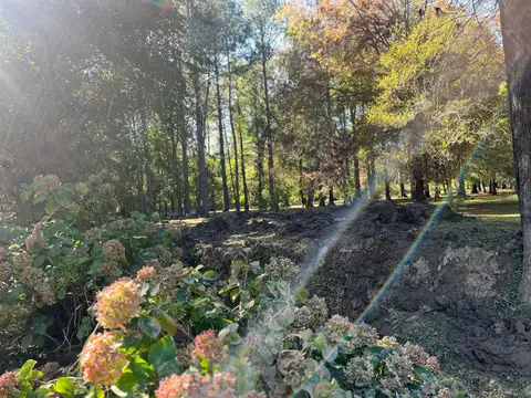 Lote en Venta, en el Delta, Arroyo Toro, Tigre, GBA Norte