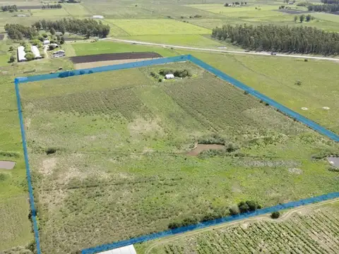 Venta Campo 7,99 Hectáreas Próximo a San Jacinto