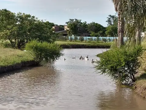 2 lagunas