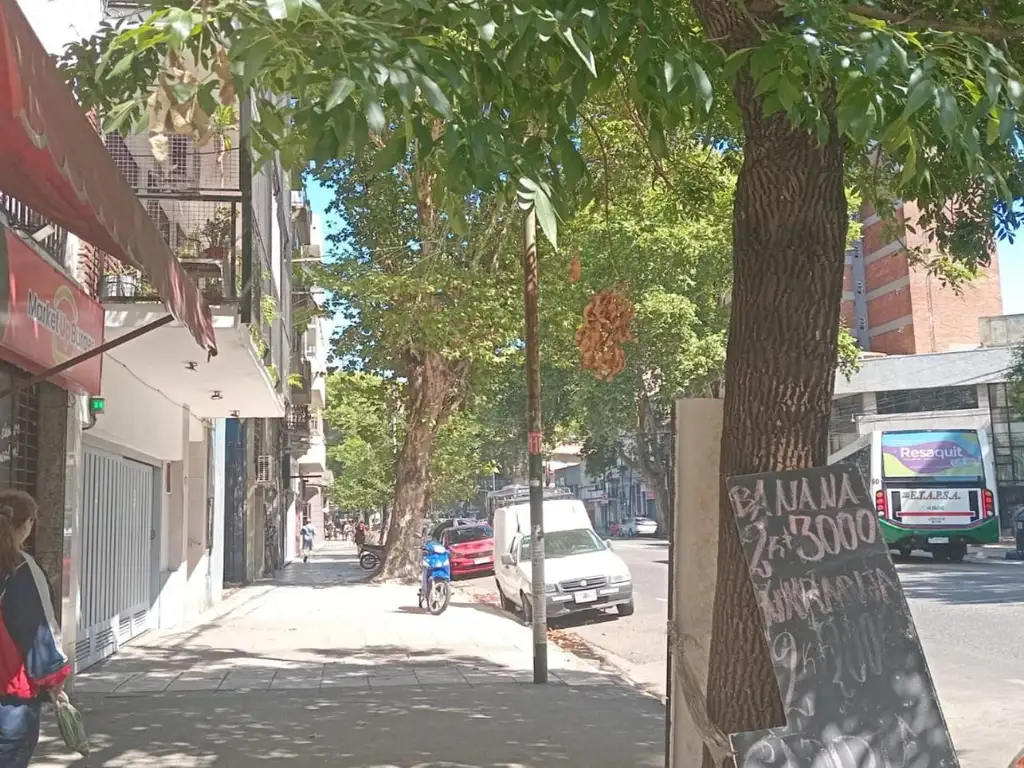 SAN MARTIN AV. 1800