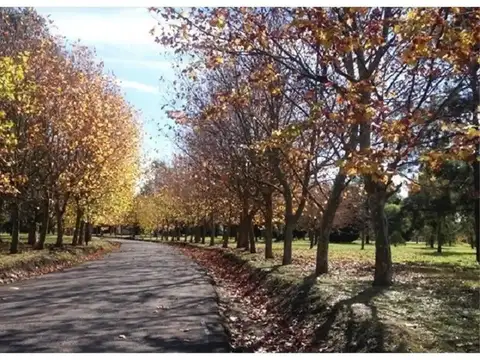 Terreno en Venta de 919,0 m2