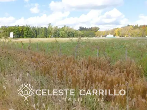 Venta - Lote - Barrio El Remanso - Exaltación de la Cruz