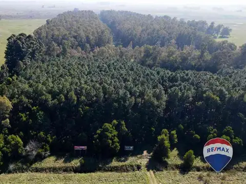 CAMPO EN VENTA SOBRE RUTA 6 