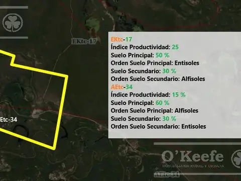 Venta de 1490 has ideal explotación maderera , Turismo y Bonos Verdes .