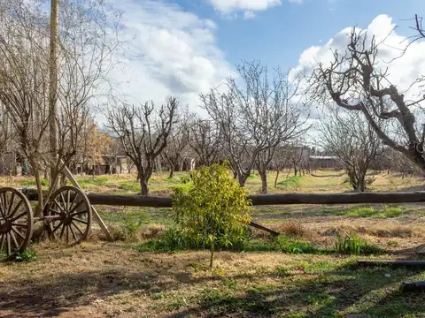 Venta de lote con casa  en Vistalba.