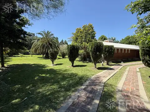 LAS CALANDRIAS al 100