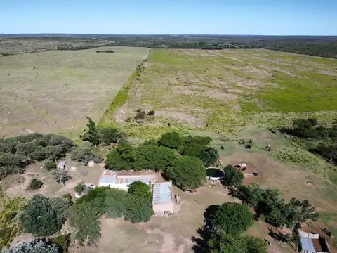 Campo agrícola ganadero Tilisarao San Luis