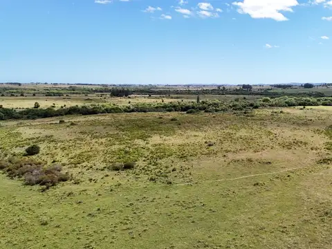Chacras en venta de 3,5 ha con opción de 7 ha o 14 ha Corte de la Leña Maldonado