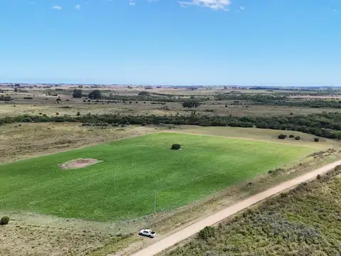 Chacras en venta de 3,5 ha con opción de 7 ha o 14 ha Corte de la Leña Maldonado
