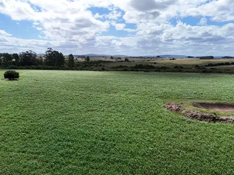 Chacras en venta de 3,5 ha con opción de 7 ha o 14 ha Corte de la Leña Maldonado