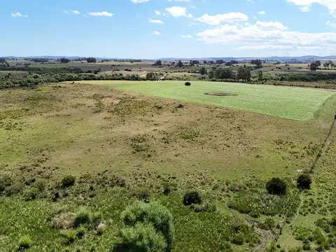 Chacras en venta de 3,5 ha con opción de 7 ha o 14 ha Corte de la Leña Maldonado