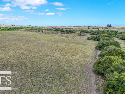 Chacras en venta de 3,5 ha con opción de 7 ha o 14 ha Corte de la Leña Maldonado