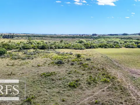 Chacras en venta de 3,5 ha con opción de 7 ha o 14 ha Corte de la Leña Maldonado